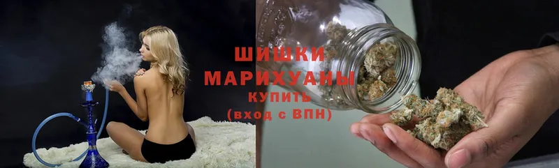 купить  цена  Зуевка  Канабис White Widow 